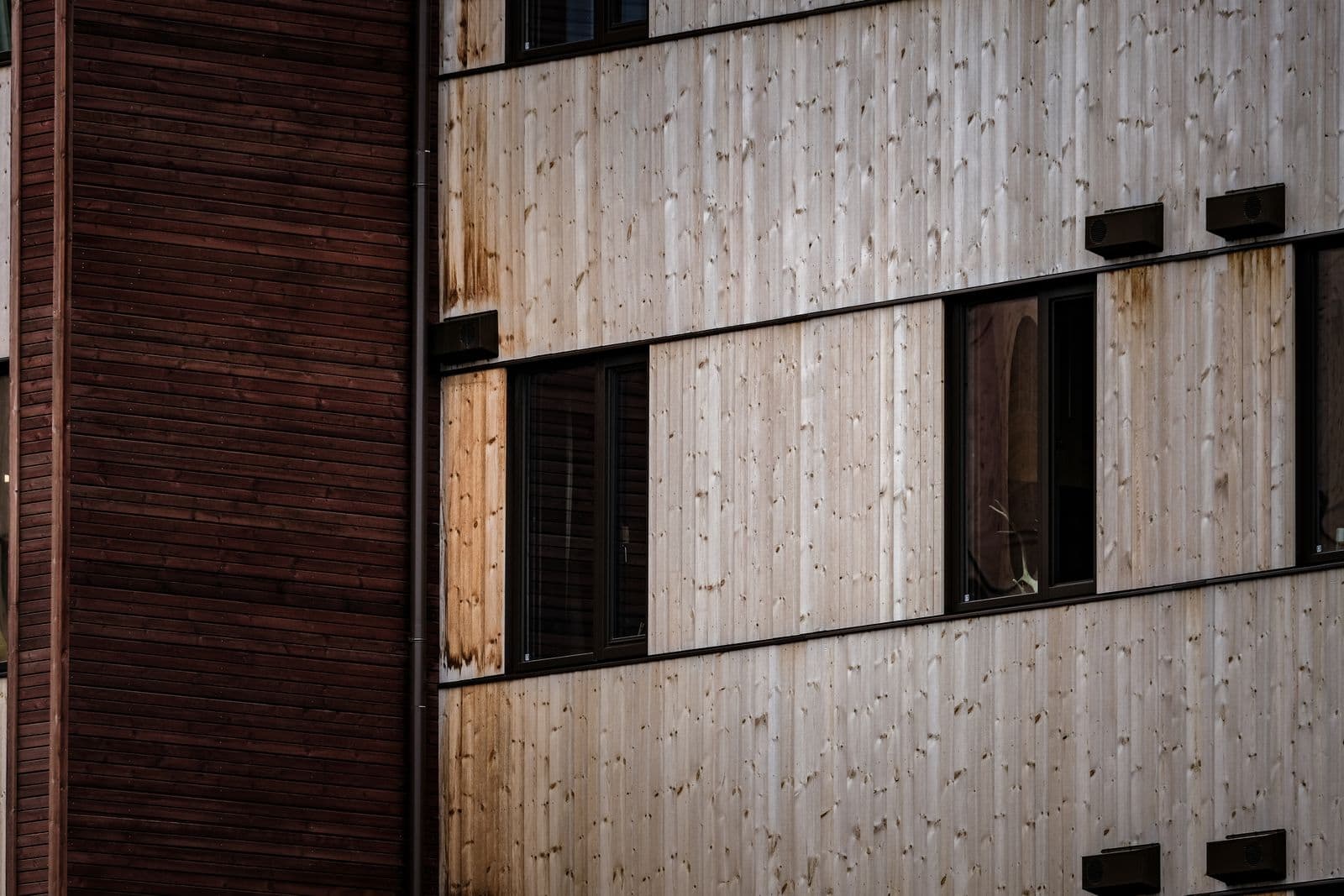 Building wall with vertical wood cladding panels and windows